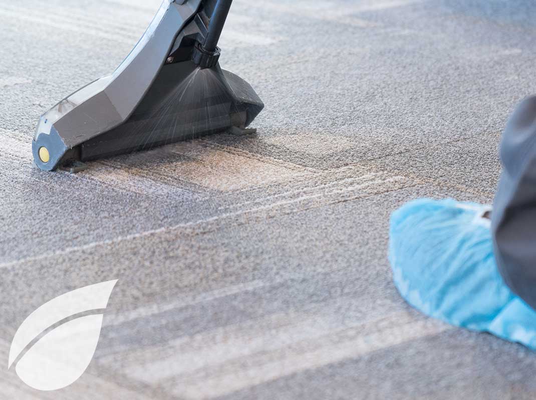 Limpieza de alfombras 6